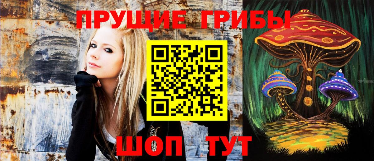 Псилоцибиновые грибы GOLDEN TEACHER  Вход с VPN  Дзержинский 